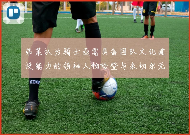 弗莱认为骑士亟需具备团队文化建设能力的领袖人物哈登与米切尔无法胜任